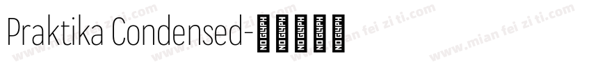 Praktika Condensed字体转换